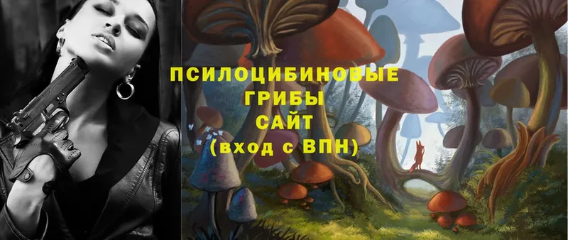 Галлюциногенные грибы Cubensis  закладка  Балахна 